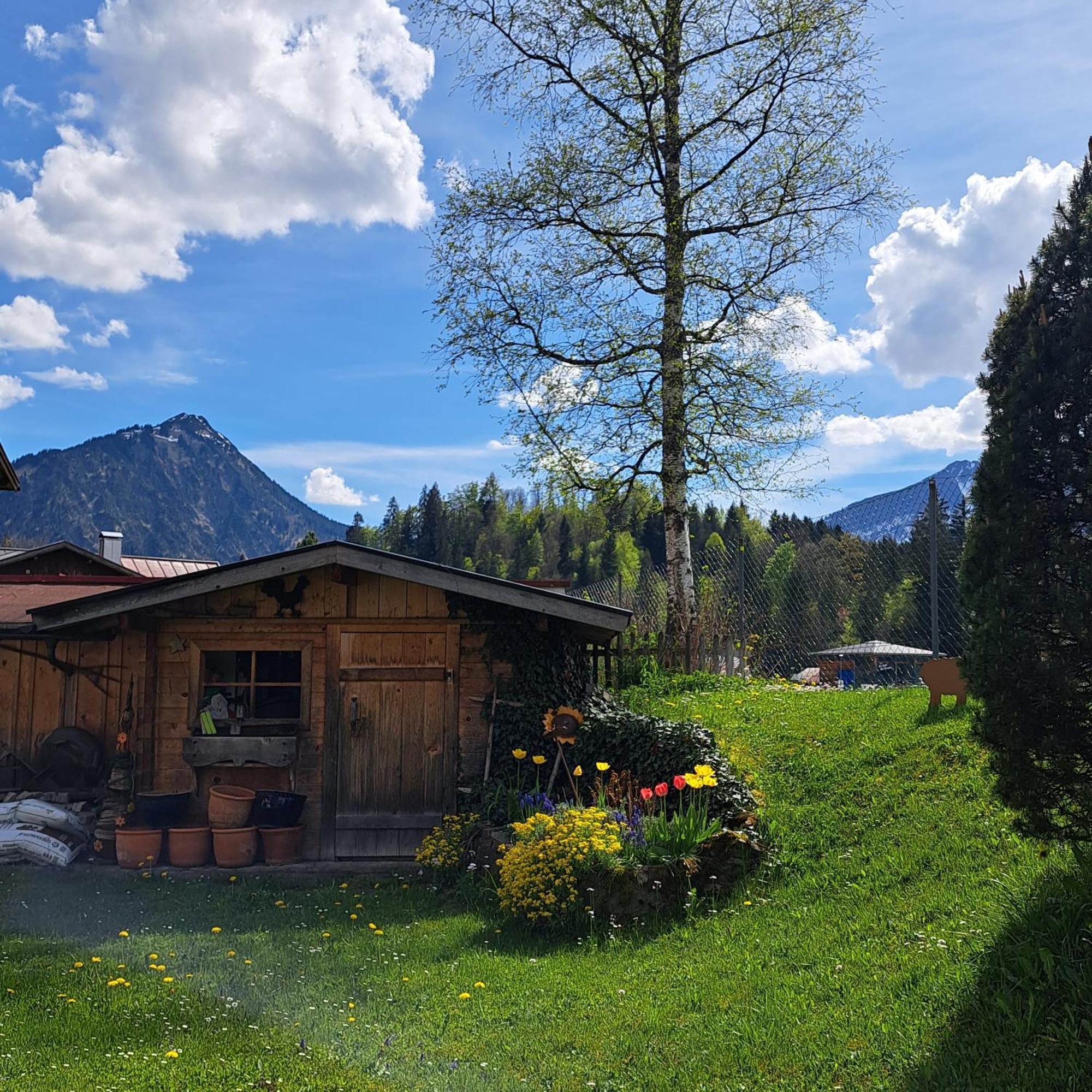 Faltenbach Ferienwohnungen In Oberstdorf Eksteriør billede